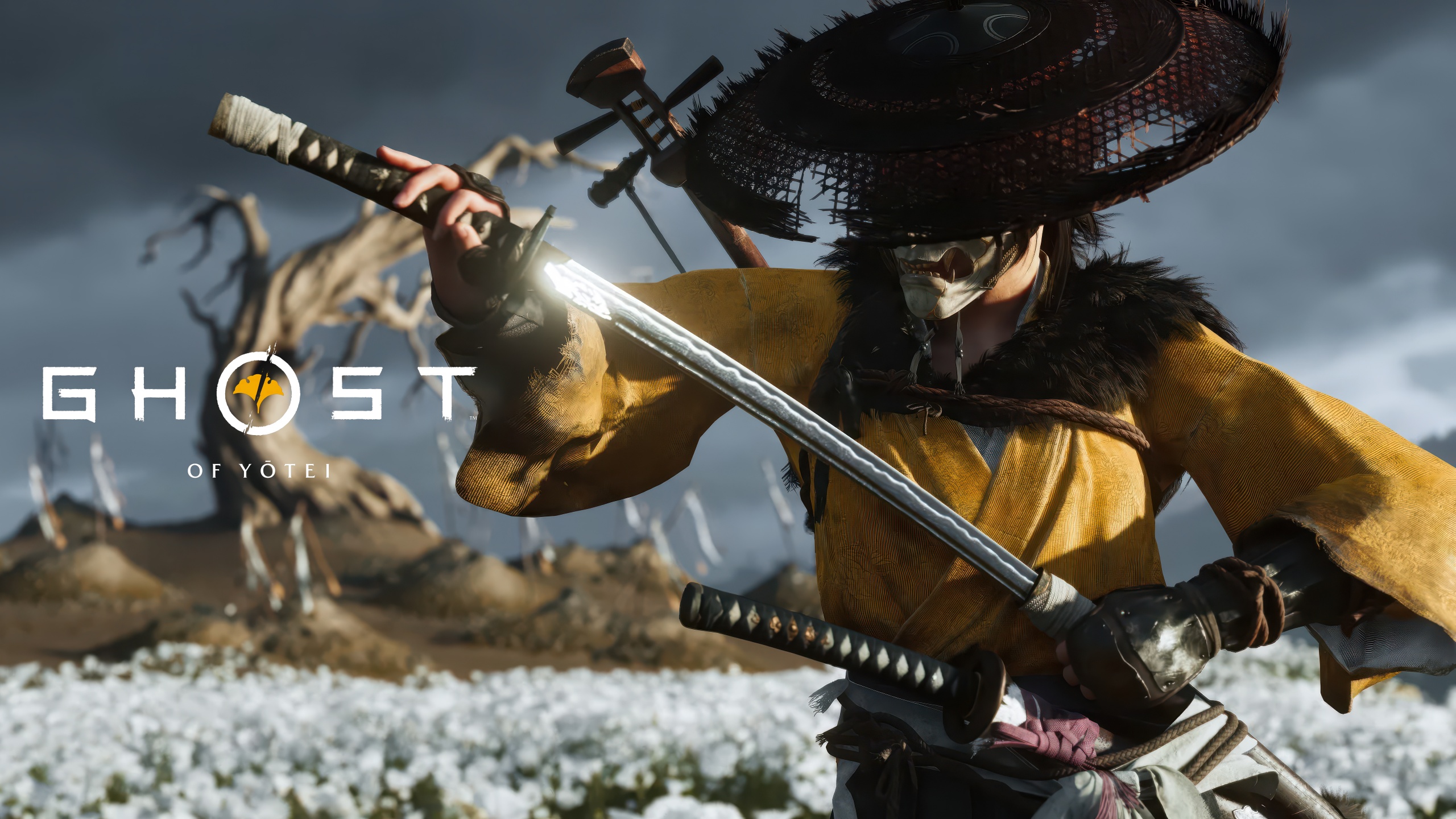 Image illustrant le jeu vidéo Ghost of Yotei