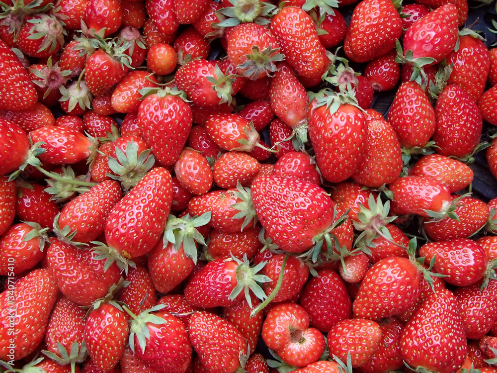 Image d'une fraise mariguette